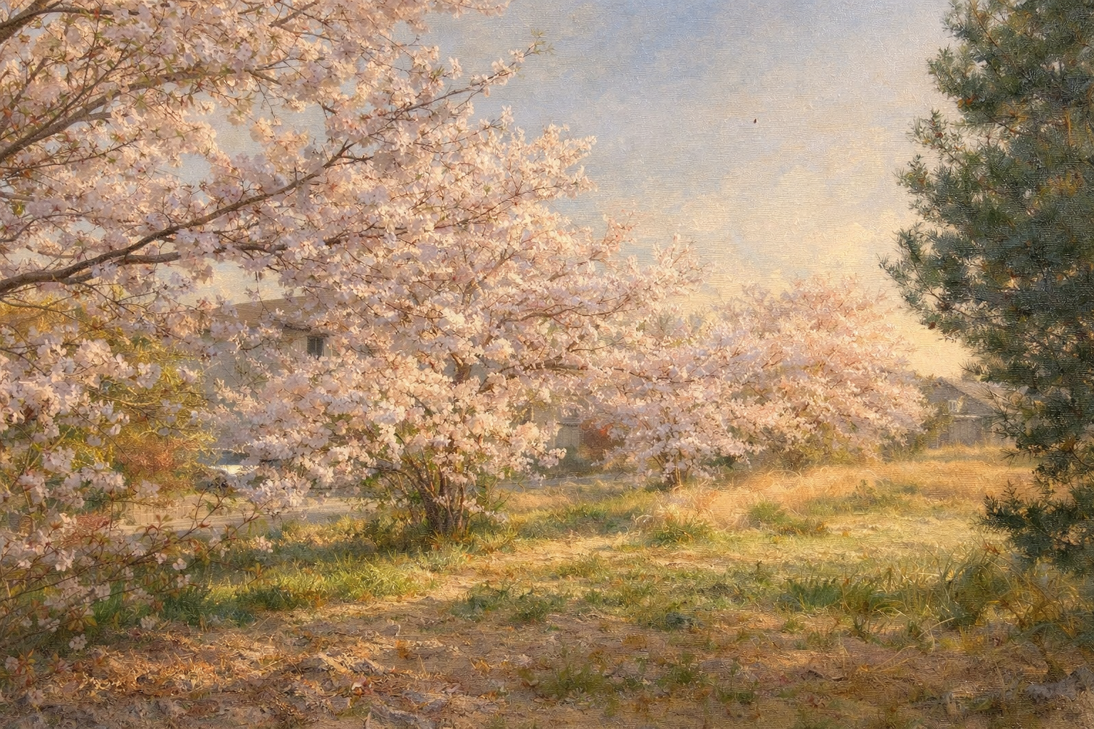 春の空気が咲いた日