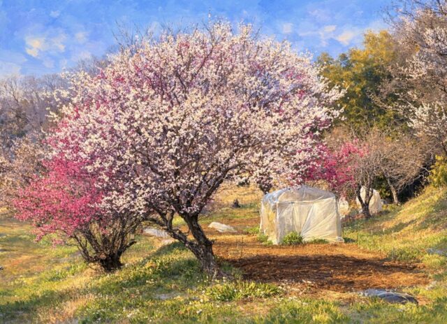 8C49E56B-808F-4EE5-B49A-839A43EC1A22