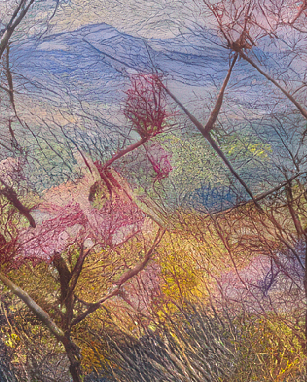 春光躍動 - 富士|部屋が春に動き出す。 - 画像 (3)